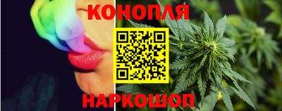 гашик Кинель