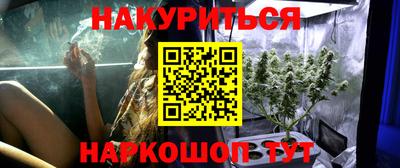 каннабис Кингисепп